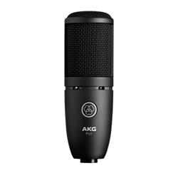 P120, General Purpose Recording Microphone